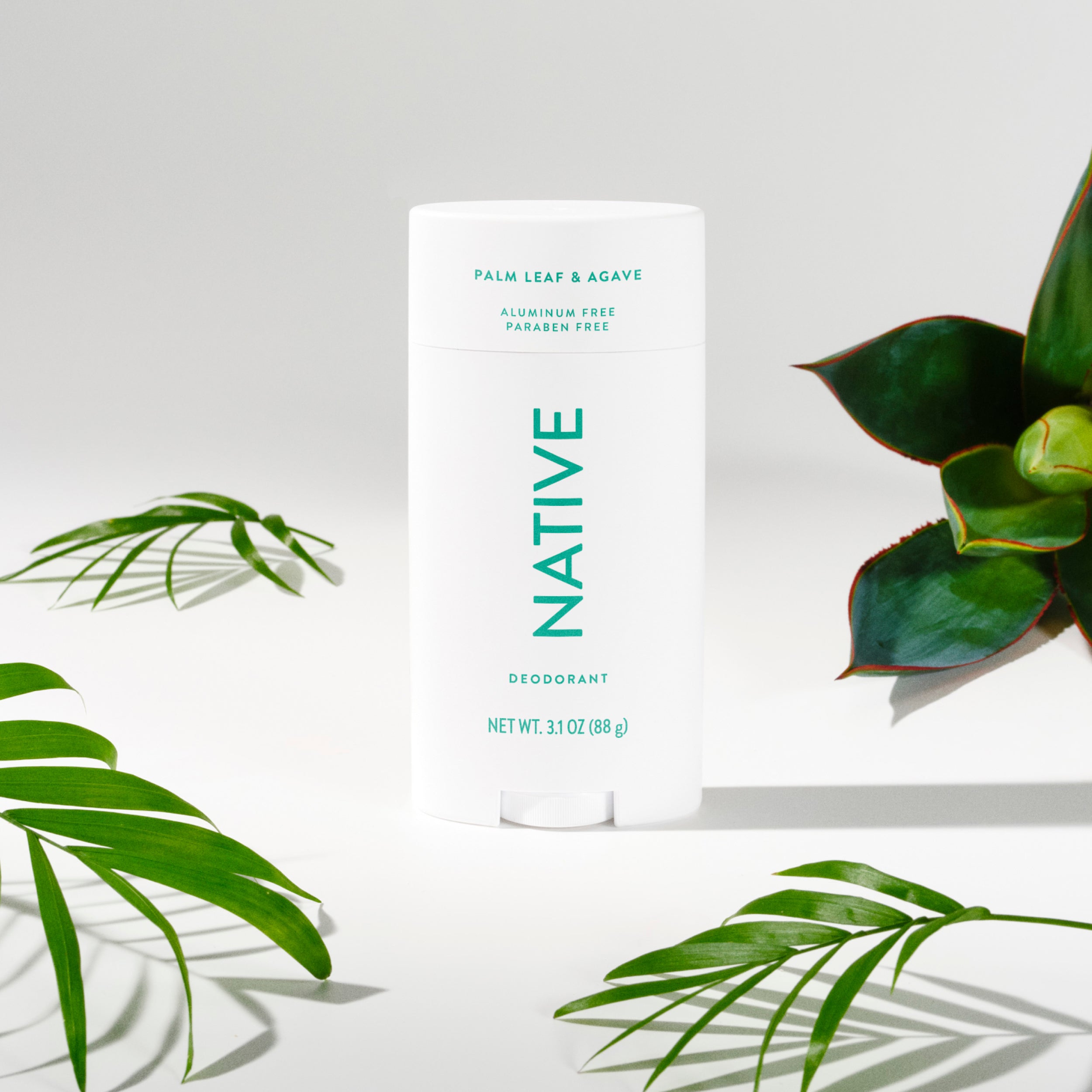 Deodorant Stick - Palm Leaf & Agave / Classic / 3.1oz - Clean Care Essential