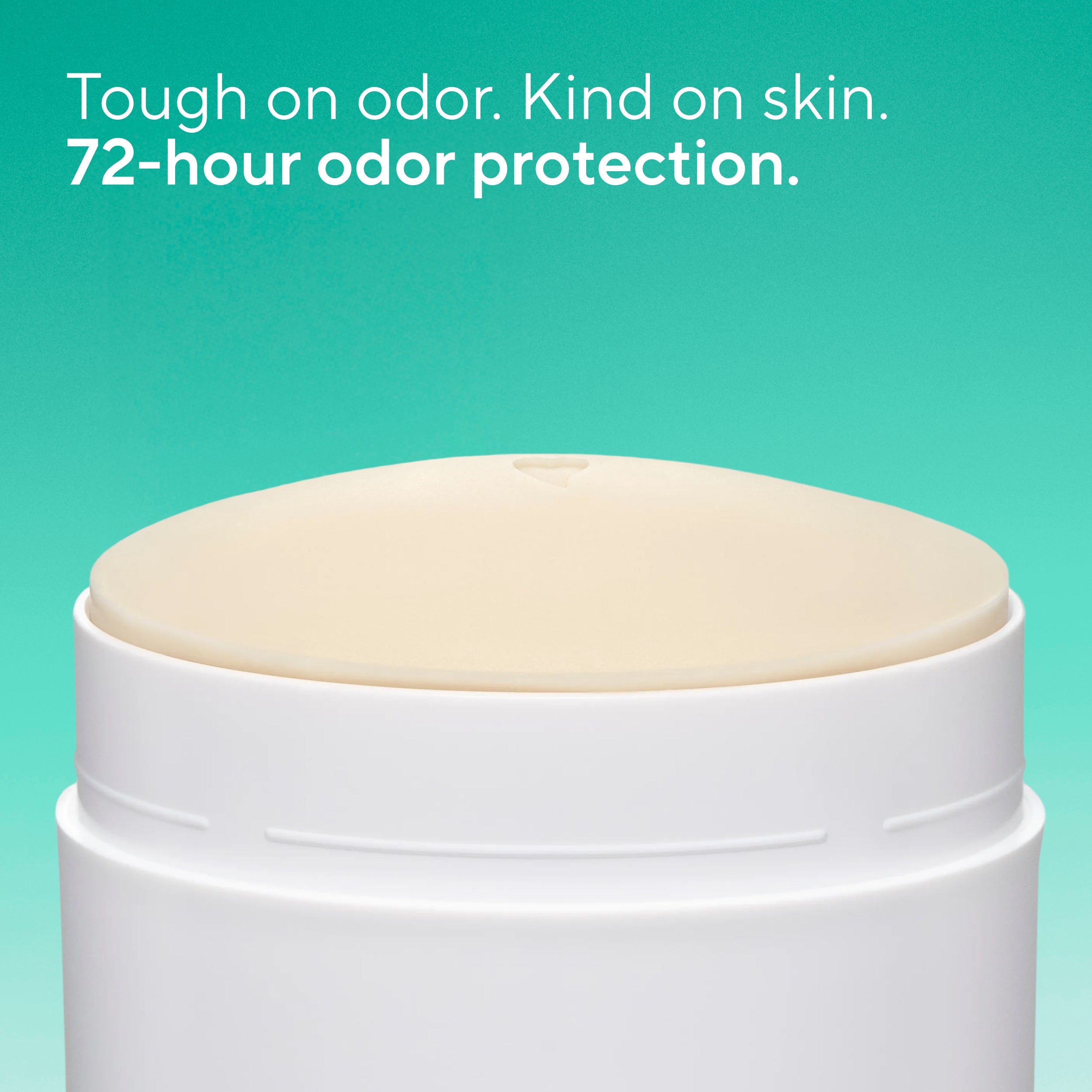 Deodorant Stick - Palm Leaf & Agave / Classic / 3.1oz - Clean Care Essential