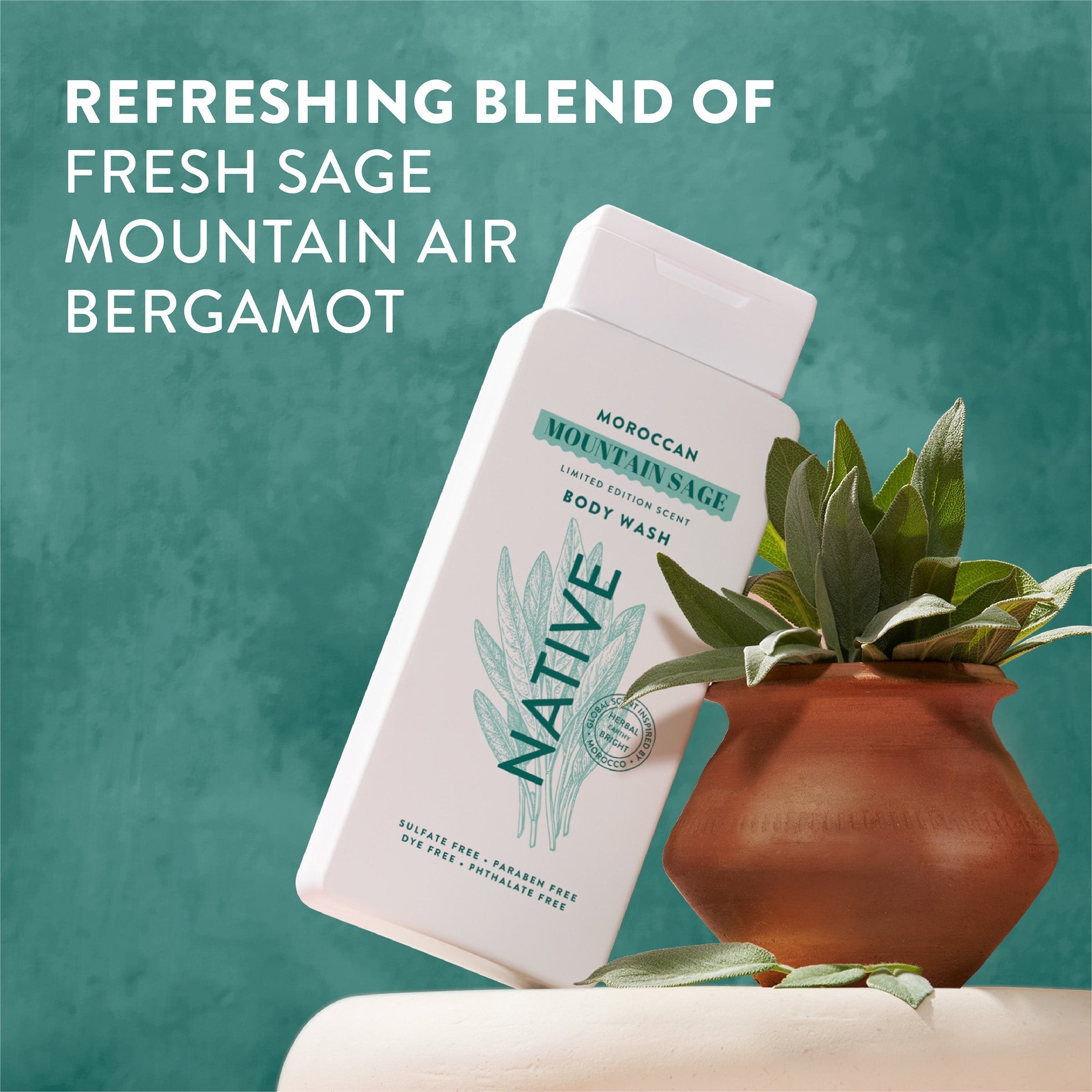 Body Wash - Moroccan Mountain Sage / Limited Edition / 18oz - Clean Care Essential