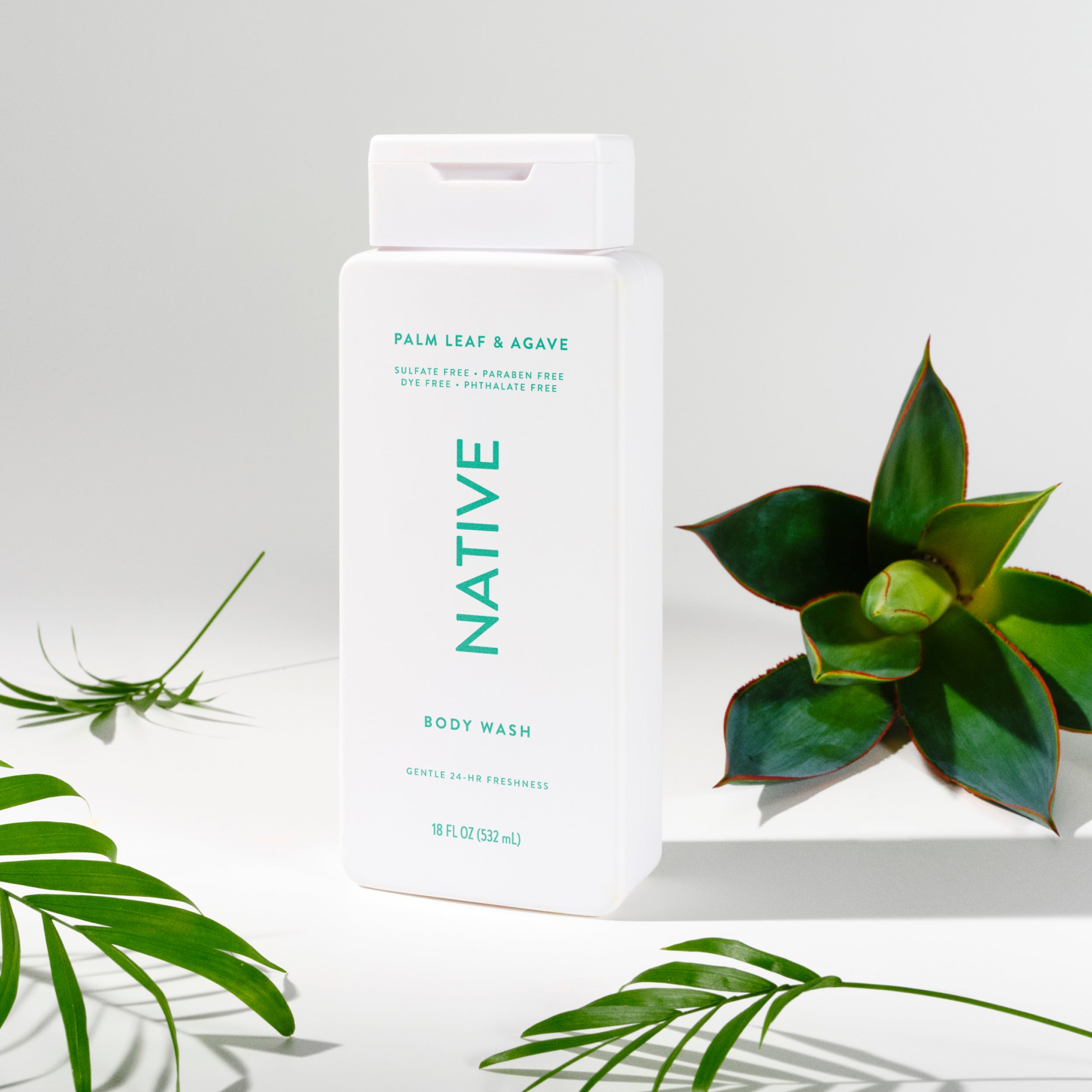 Body Wash - Palm Leaf & Agave / Classic / 18oz - Clean Care Essential