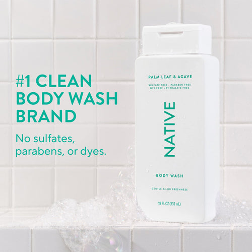 Body Wash - Palm Leaf & Agave / Classic / 18oz - Clean Care Essential