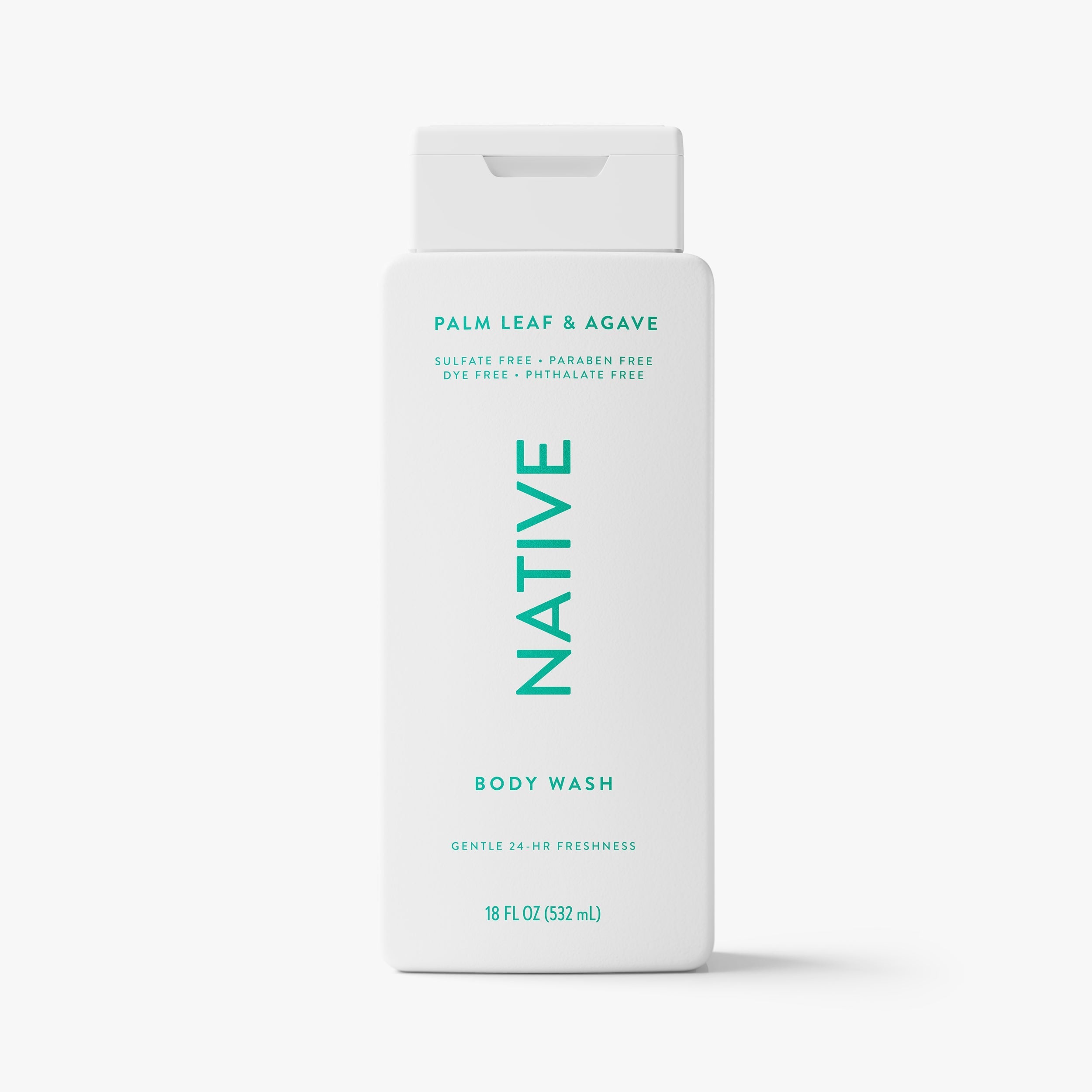 Body Wash - Palm Leaf & Agave / Classic / 18oz - Clean Care Essential