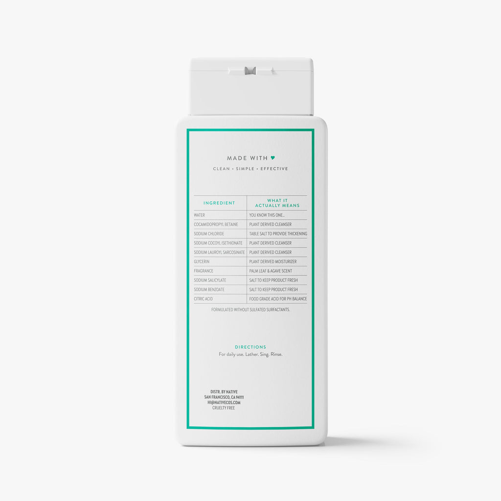 Body Wash - Palm Leaf & Agave / Classic / 18oz - Clean Care Essential